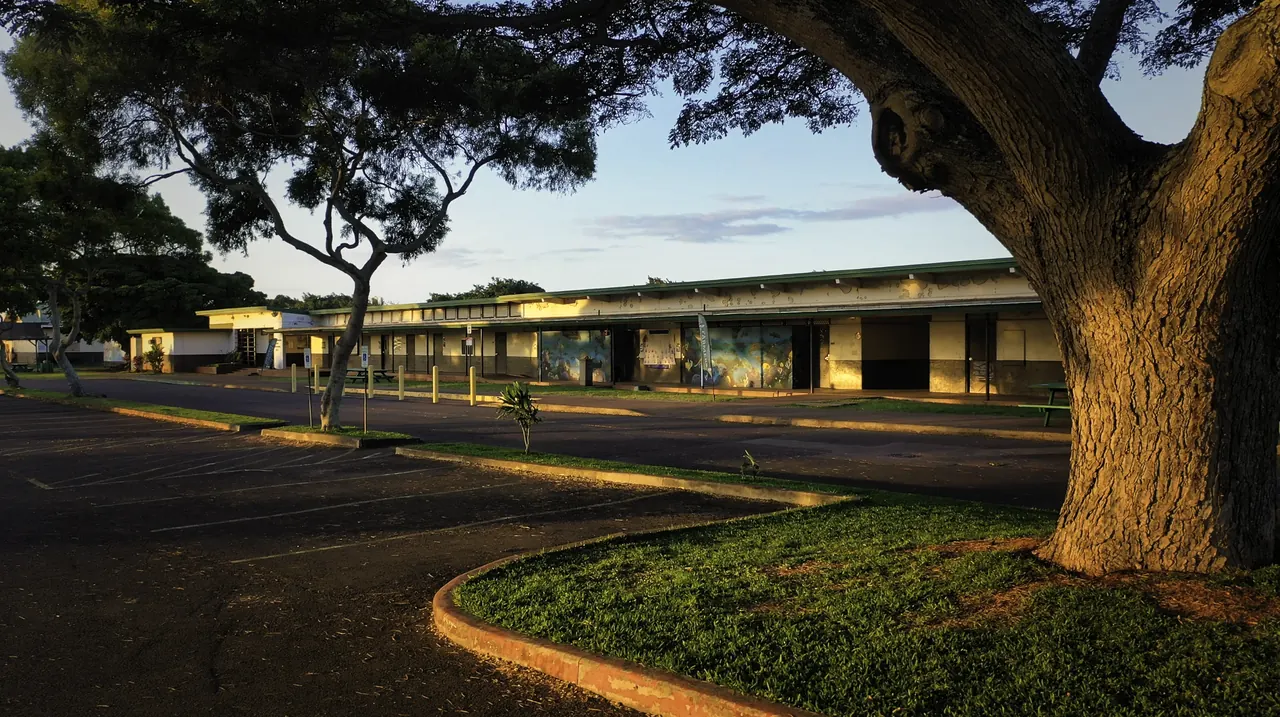 A large monkeypod tree shading the Molokaʻi High School campus at dusk
